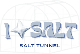 IOSALT — Smart Salt Tunnel