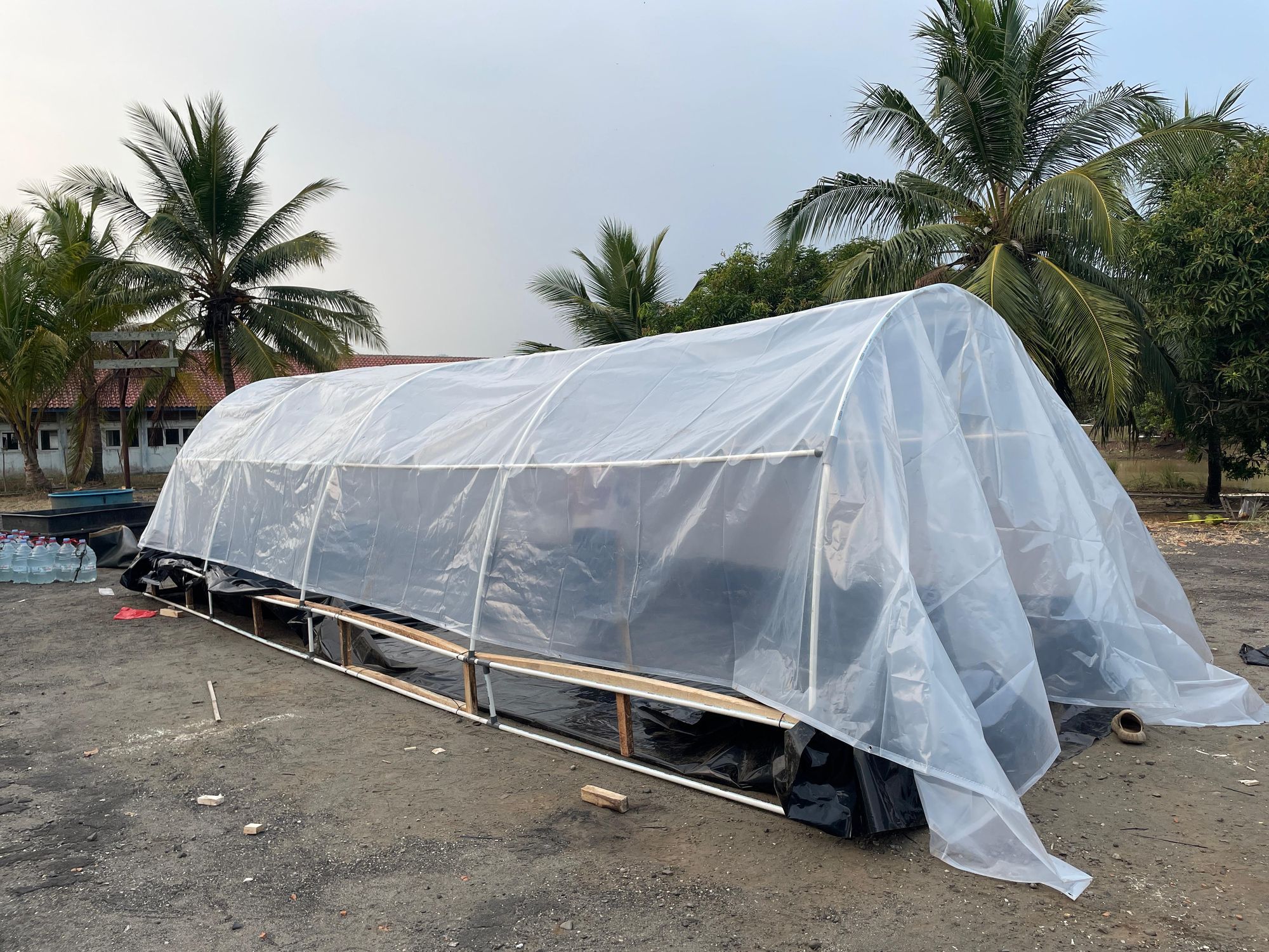 Tunnel Greenhouse Salt Tunnel IOSALT tampak samping saat sore, dikelilingi pohon kelapa